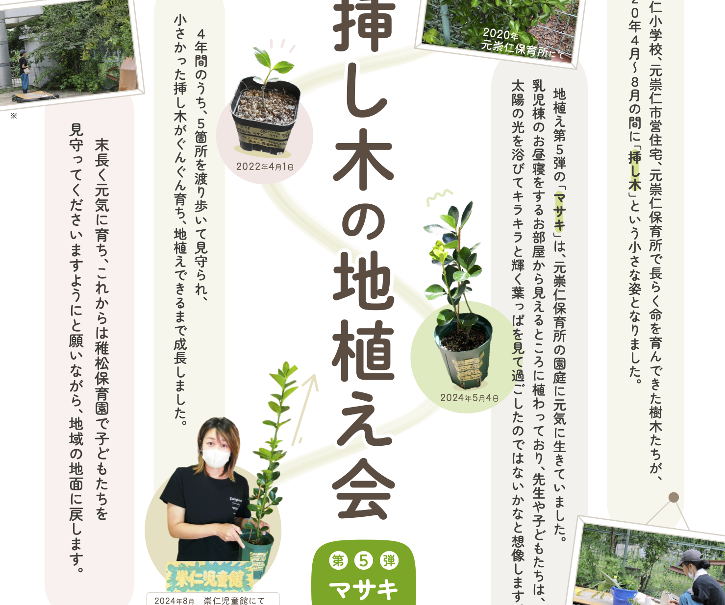 挿し木の地植え会〈マサキ〉のお知らせ