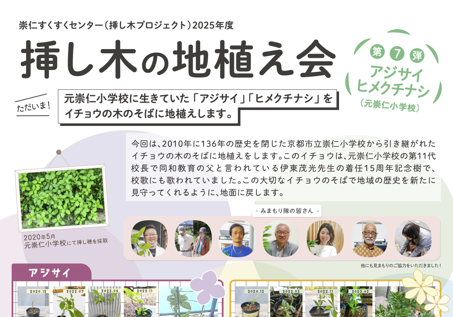 挿し木の地植え会〈アジサイ・ヒメクチナシ〉のお知らせ