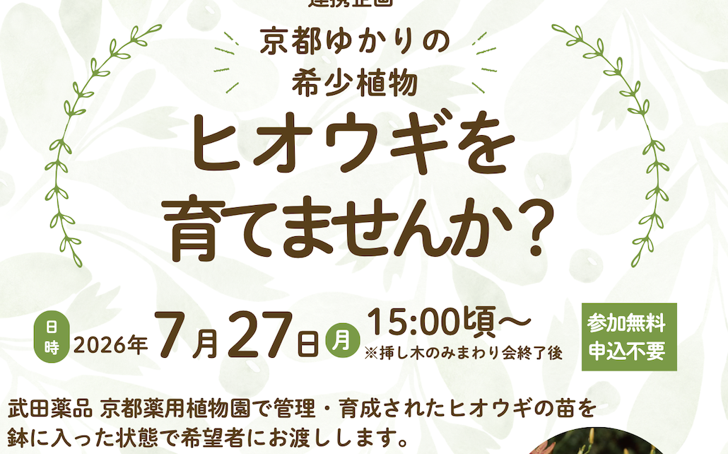 京都ゆかりの希少植物 ヒオウギを育てませんか?