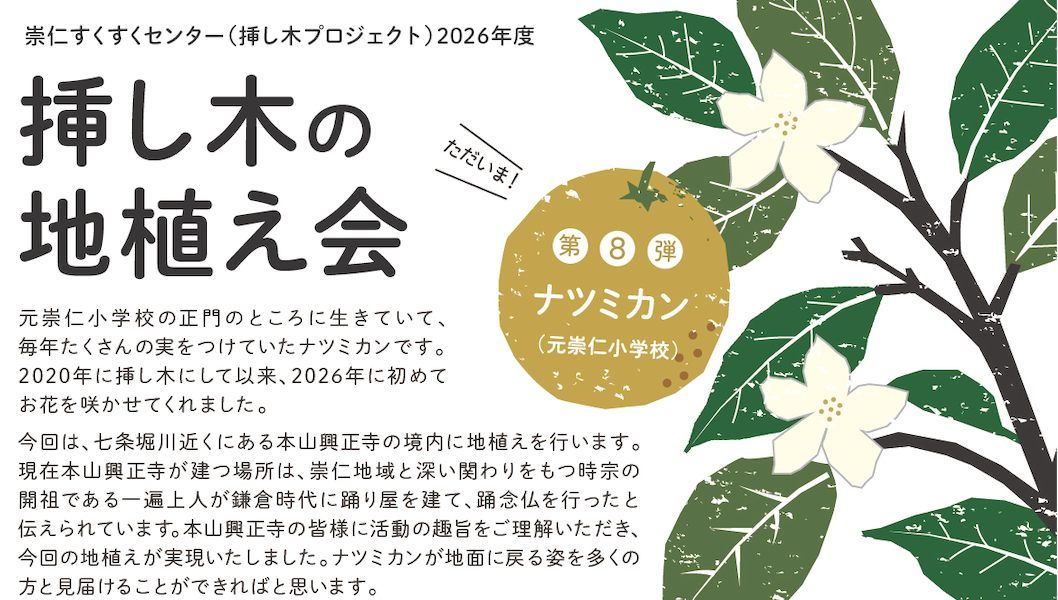 「挿し木の地植え会 ナツミカン（元崇仁小学校）」開催のお知らせ